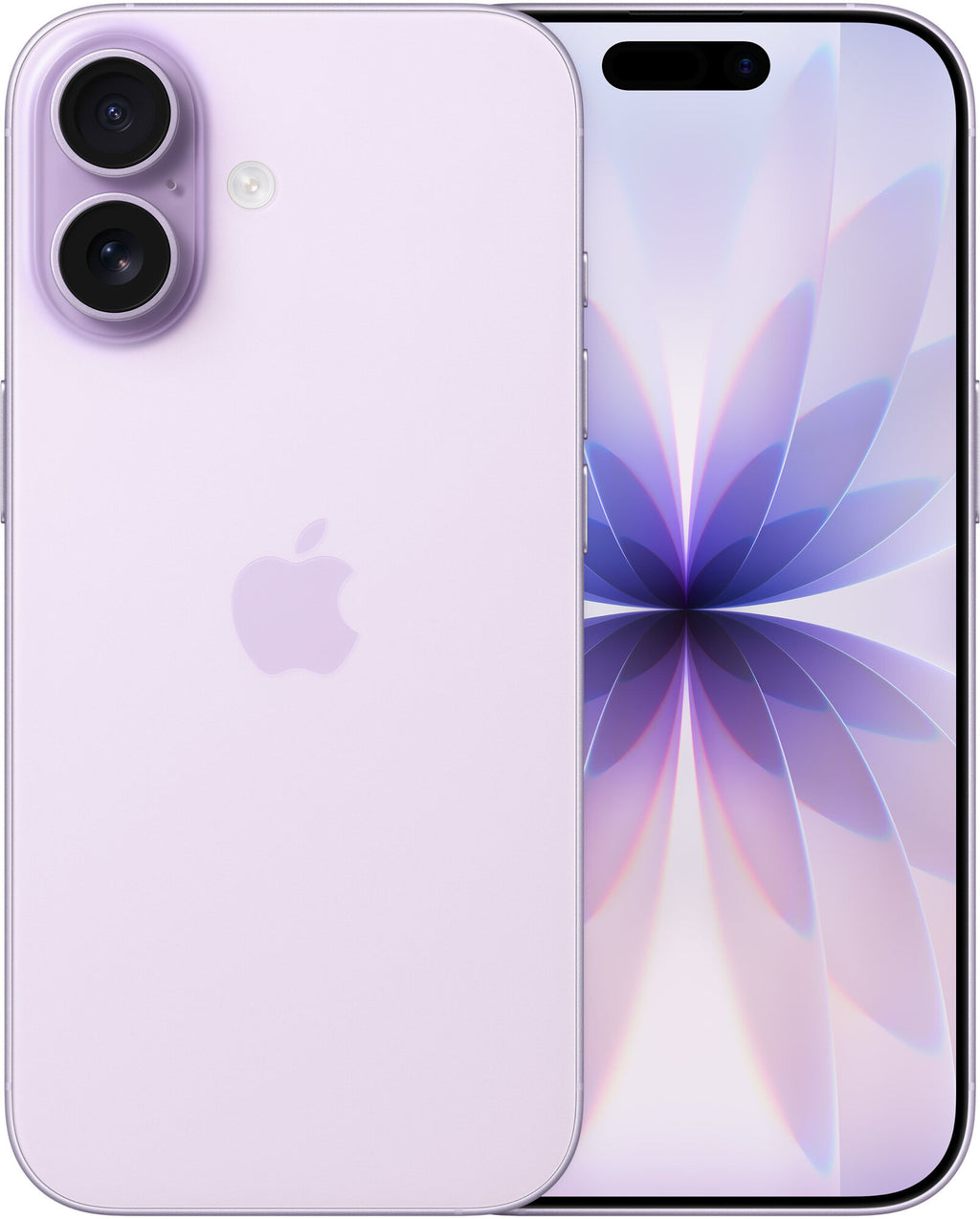Dostawca: iPhone 17