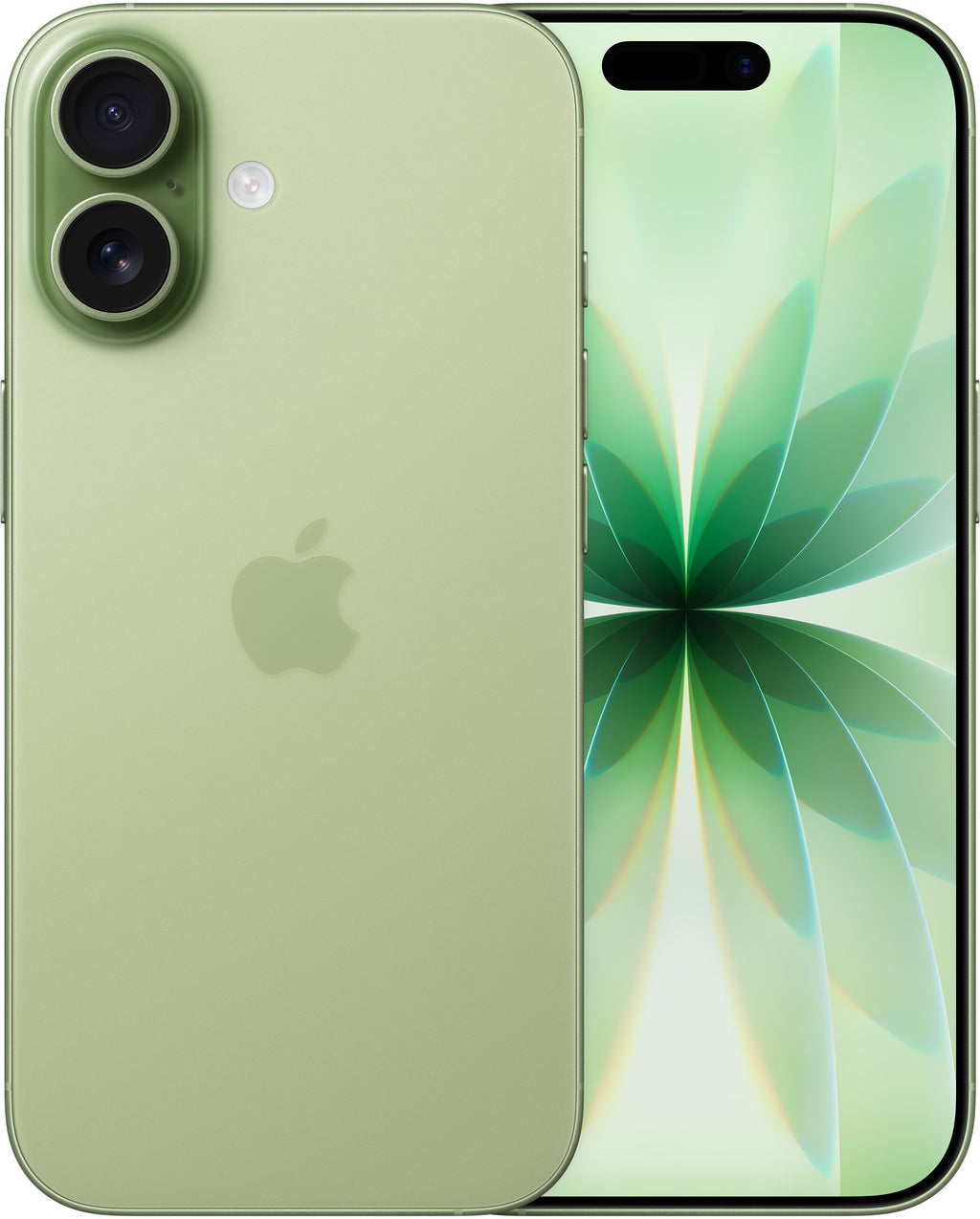 Dostawca: iPhone 17